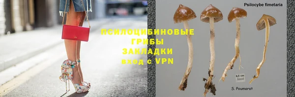 PSILOCYBIN Богданович