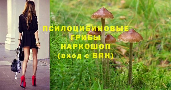 PSILOCYBIN Богданович